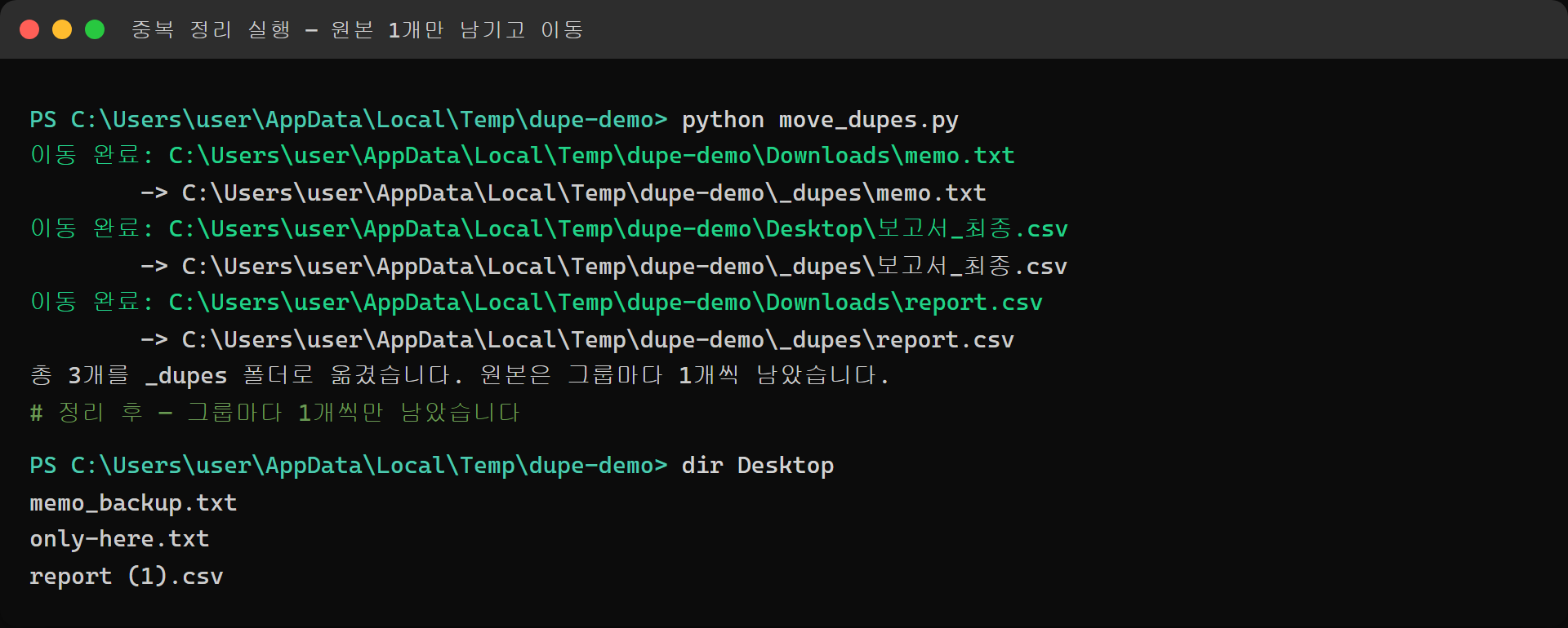 중복 파일을 _dupes 폴더로 이동한 실행 결과