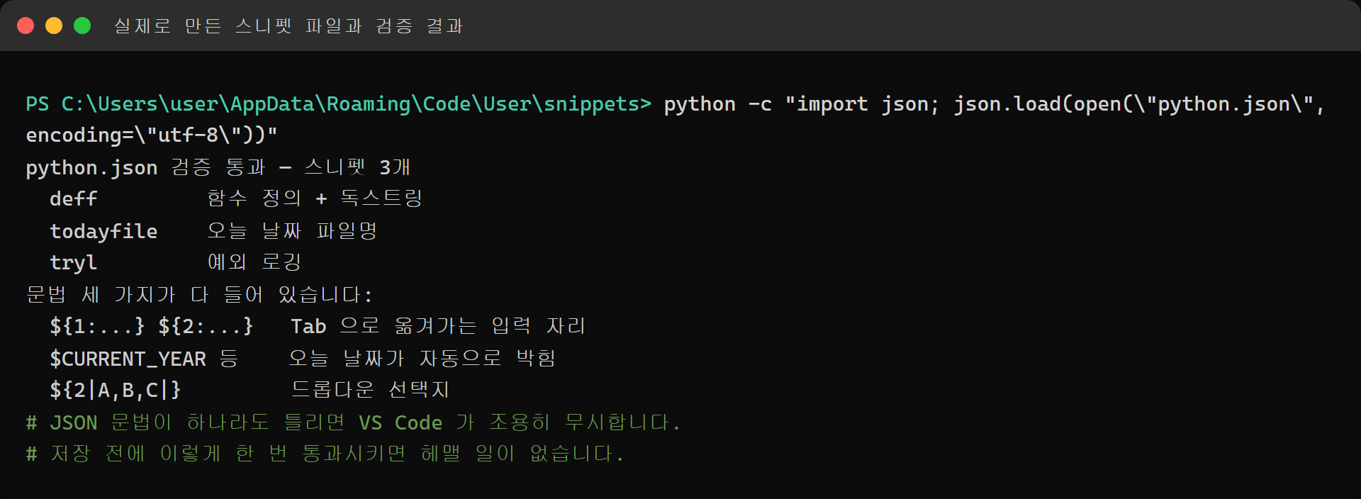 VS Code 스니펫 JSON 파일 검증 실행 결과