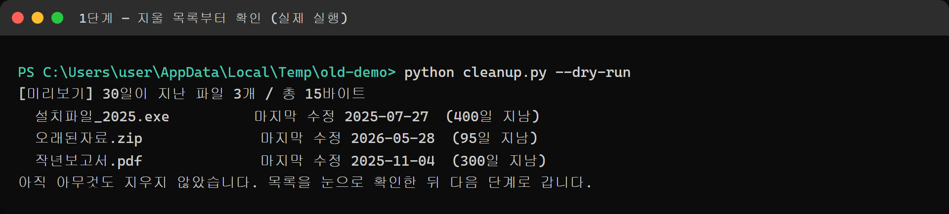 삭제 대상 파일 미리보기 실행 결과