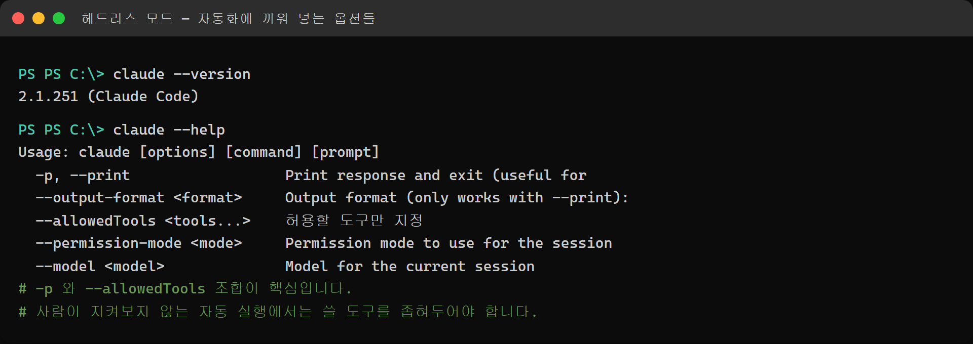 Claude Code 헤드리스 모드 옵션 실제 출력